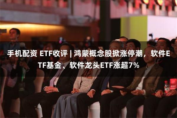 手机配资 ETF收评 | 鸿蒙概念股掀涨停潮，软件ETF基金、软件龙头ETF涨超7%