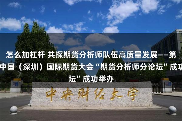 怎么加杠杆 共探期货分析师队伍高质量发展——第19届中国（深圳）国际期货大会“期货分析师分论坛”成功举办