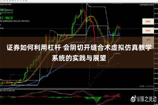 证券如何利用杠杆 会阴切开缝合术虚拟仿真教学系统的实践与展望