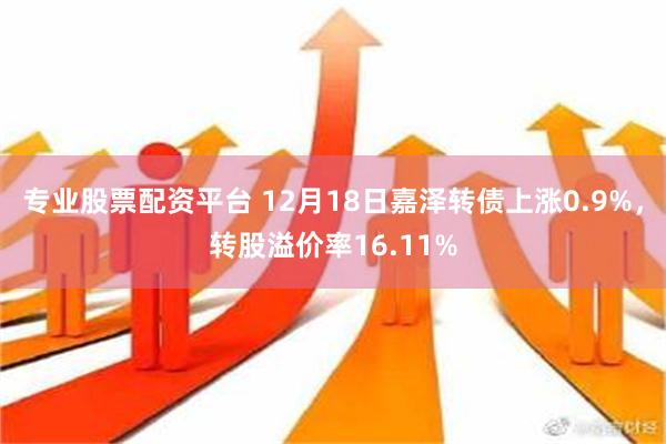 专业股票配资平台 12月18日嘉泽转债上涨0.9%，转股溢价率16.11%